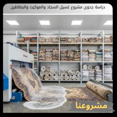 دراسة جدوى مشروع غسيل السجاد والموكيت والبطاطين