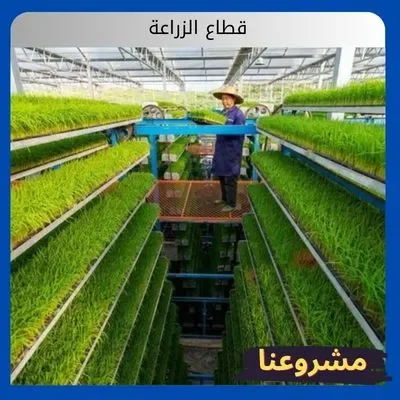 الصفحة الرئيسية قطاع الزراعة