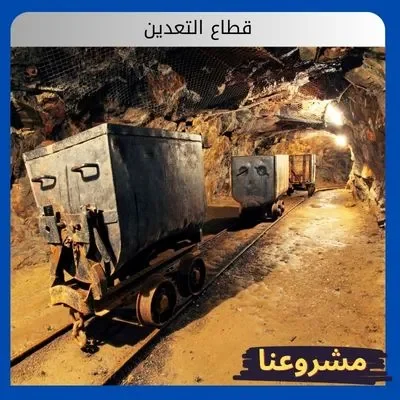 الصفحة الرئيسية قطاع التعدين