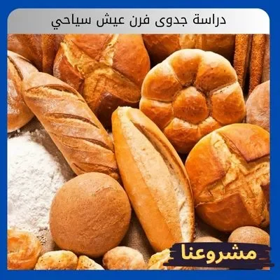 دراسة جدوى فرن عيش سياحي: استثمار فاخر في جودة المخبوزات المتخصصة دراسة جدوى فرن عيش سياحي2