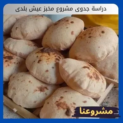 دراسة جدوى مشروع مخبز عيش بلدى دراسة جدوى مشروع مخبز عيش بلدى