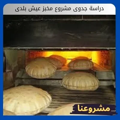 دراسة جدوى مشروع مخبز عيش بلدى دراسة جدوى مشروع مخبز عيش بلدى