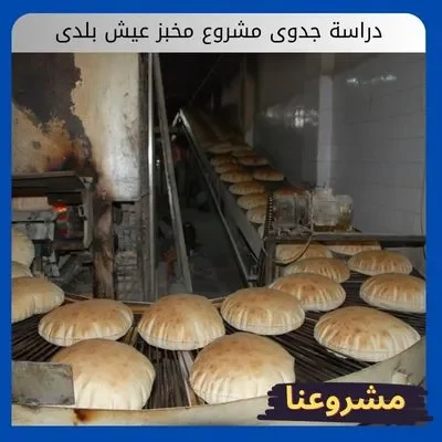 دراسة جدوى مشروع مخبز عيش بلدى: ضمانة استثمارية في رغيف لا غنى عنه دراسة جدوى مشروع مخبز عيش بلدى