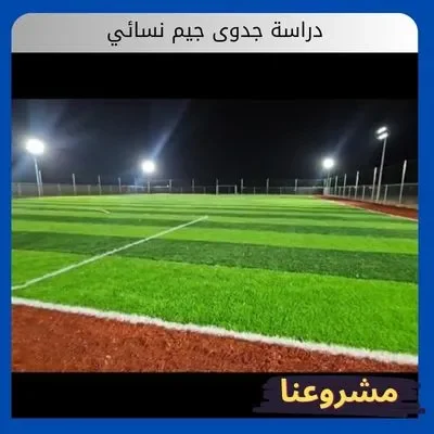 دراسة جدوى مشروع ملعب كرة قدم