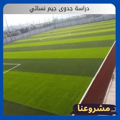 دراسة جدوى مشروع ملعب كرة قدم دراسة جدوى مشروع ملعب كرة قدم