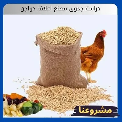دراسة جدوى مصنع اعلاف دواجن2