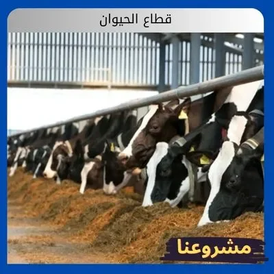الصفحة الرئيسية قطاع الحيوان