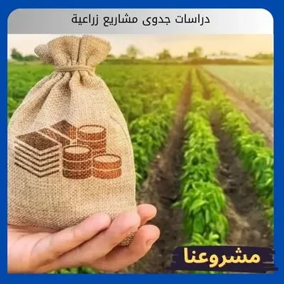 دراسات جدوى مشاريع زراعية دراسات جدوى مشاريع زراعية