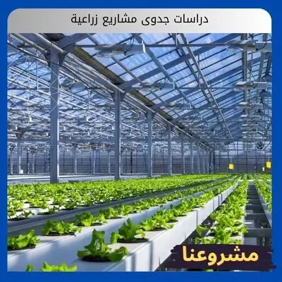 دراسات جدوى مشاريع زراعية