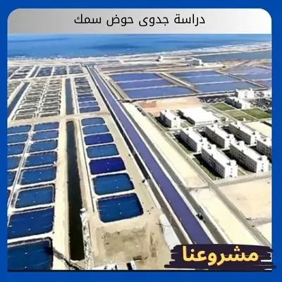 دراسة جدوى حوض سمك دراسة جدوى حوض سمك