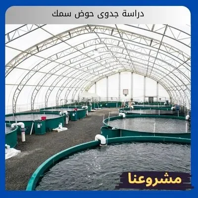 دراسة جدوى حوض سمك دراسة جدوى حوض سمك