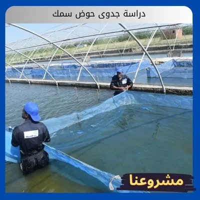 دراسة جدوى حوض سمك