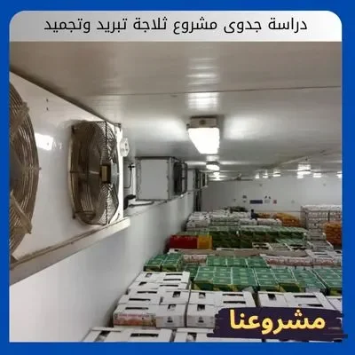 دراسة جدوى مشروع ثلاجة تبريد وتجميد: استثمار حيوي وفرصة مضمونة دراسة جدوى مشروع ثلاجة تبريد وتجميد