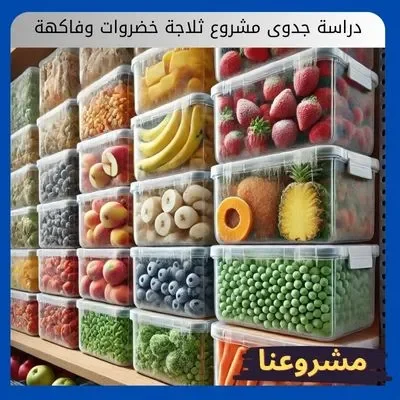 دراسة جدوى مشروع ثلاجة خضروات وفاكهة دراسة جدوى مشروع ثلاجة خضروات وفاكهة