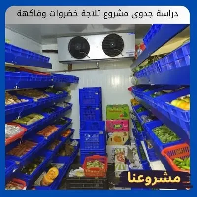 دراسة جدوى مشروع ثلاجة خضروات وفاكهة