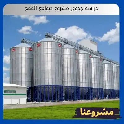 دراسة جدوى مشروع صوامع القمح