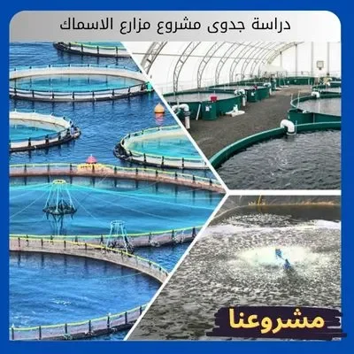 دراسة جدوى مشروع مزارع الاسماك