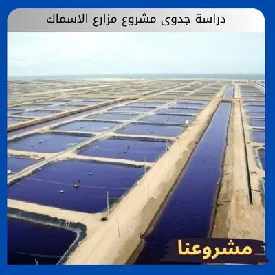دراسة جدوى مشروع مزارع الاسماك دراسة جدوى مشروع مزارع الاسماك