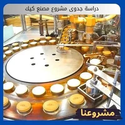 دراسة جدوى مشروع مصنع كيك دراسة جدوى مشروع مصنع كيك