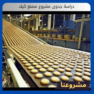 دراسة جدوى مشروع مصنع كيك دراسة جدوى مشروع مصنع كيك