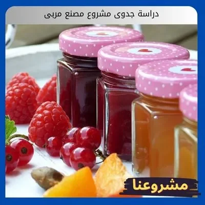 دراسة جدوى مشروع مصنع مربى: كيف تحول الفواكه الموسمية إلى ربح دائم دراسة جدوى مشروع مصنع مربى