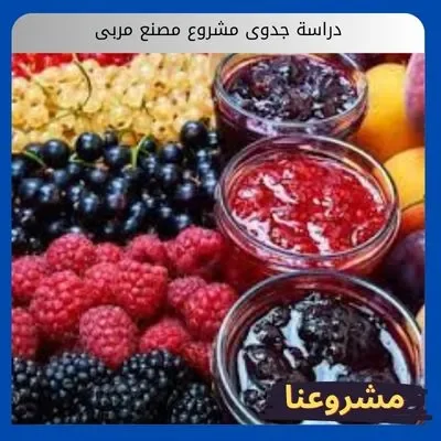 دراسة جدوى مشروع مصنع مربى دراسة جدوى مشروع مصنع مربى