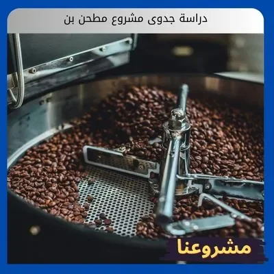 دراسة جدوى مشروع مطحن بن