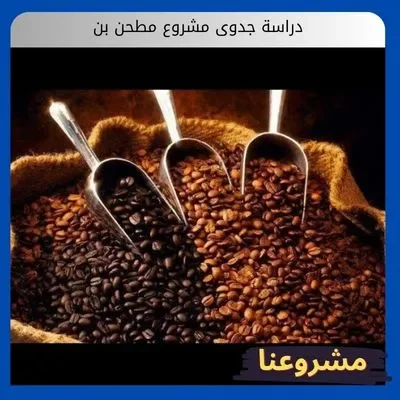 دراسة جدوى مشروع مطحن بن