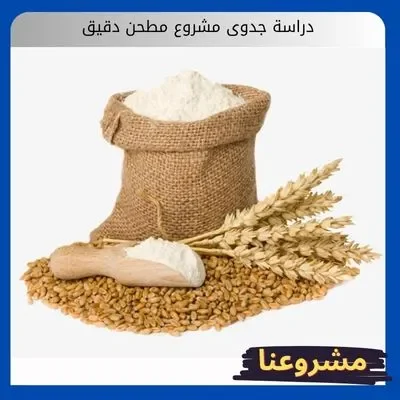 دراسة جدوى مشروع مطحن دقيق