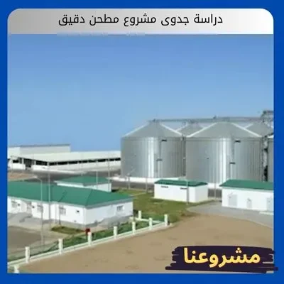 دراسة جدوى مشروع مطحن دقيق دراسة جدوى مشروع مطحن دقيق