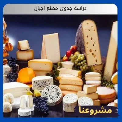 دراسة جدوى مصنع اجبان