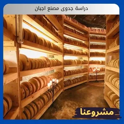 دراسة جدوى مصنع اجبان دراسة جدوى مصنع اجبان