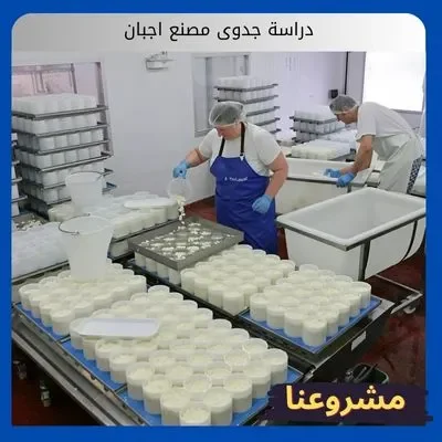 دراسة جدوى مصنع اجبان دراسة جدوى مصنع اجبان