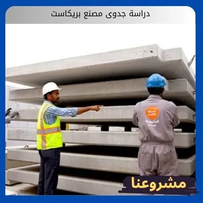 دراسة جدوى مصنع بريكاست دراسة جدوى مصنع بريكاست