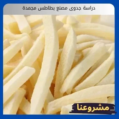 دراسة جدوى مصنع بطاطس مجمدة