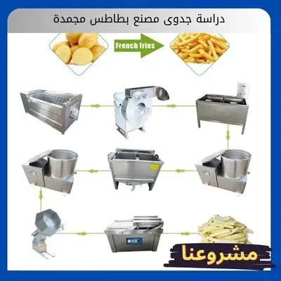 دراسة جدوى مصنع بطاطس مجمدة