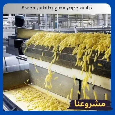 دراسة جدوى مصنع بطاطس مجمدة