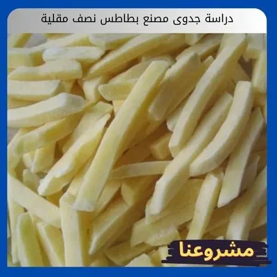 دراسة جدوى مصنع بطاطس نصف مقلية دراسة جدوى مصنع بطاطس نصف مقلية