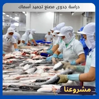 دراسة جدوى مصنع تجميد أسماك: تأمين الجودة وفتح أسواق التصدير دراسة جدوى مصنع تجميد أسماك1