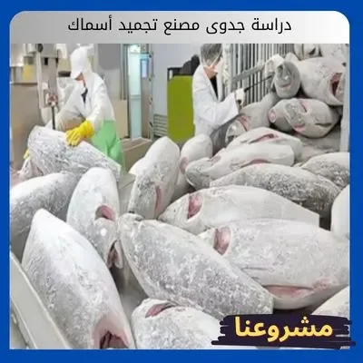 دراسة جدوى مصنع تجميد أسماك دراسة جدوى مصنع تجميد أسماك