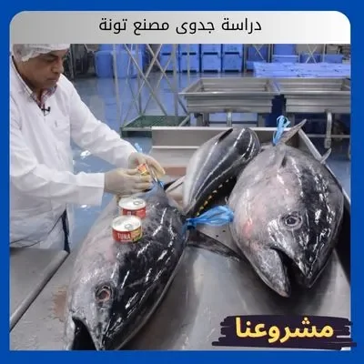 دراسة جدوى مصنع تونة: استثمار مضمون في الأمن الغذائي دراسة جدوى مصنع تونة