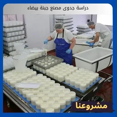 دراسة جدوى مصنع جبنة بيضاء