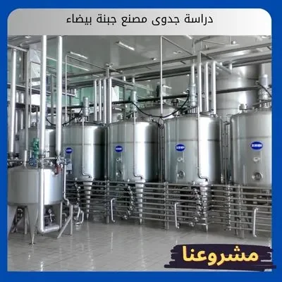 دراسة جدوى مصنع جبنة بيضاء دراسة جدوى مصنع جبنة بيضاء