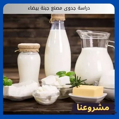 دراسة جدوى مصنع جبنة بيضاء دراسة جدوى مصنع جبنة بيضاء