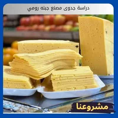 دراسة جدوى مصنع جبنه رومي
