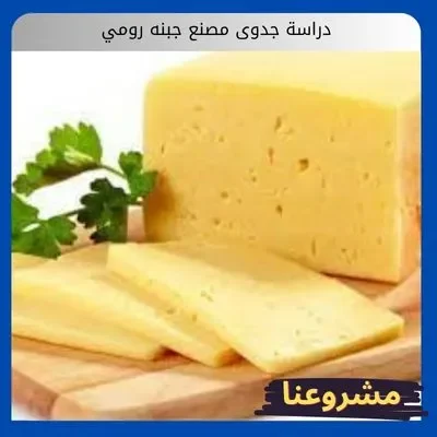 دراسة جدوى مصنع جبنه رومي دراسة جدوى مصنع جبنه رومي