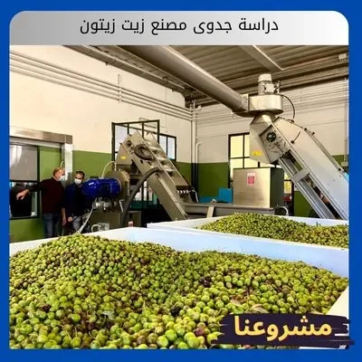 دراسة جدوى مصنع زيت زيتون