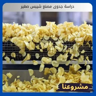 دراسة جدوى مصنع شيبس صغير دراسة جدوى مصنع شيبس صغير