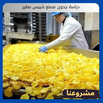 دراسة جدوى مصنع شيبس صغير1