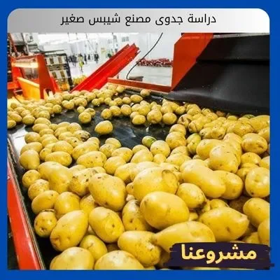 دراسة جدوى مصنع شيبس صغير دراسة جدوى مصنع شيبس صغير